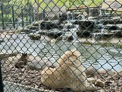 -北京野生动物园