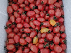 -江杨农产品批发市场