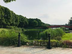 -美兰湖景区