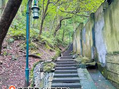 -青竺·青竹茶舍(断桥店)