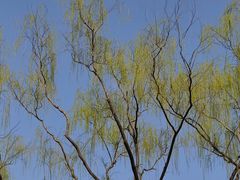 -好利来(新华百货店)