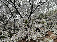 -中国茶叶博物馆(双峰馆区)