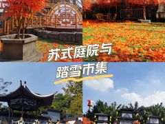 -广州长隆欢乐世界