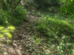 -北京鹫峰国家森林公园