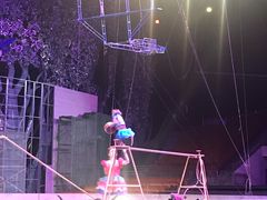 -灵玲国际马戏城