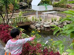 -花溪雨·森林餐厅(石基店)