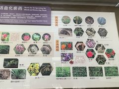-北京中医药大学-中医药博物馆