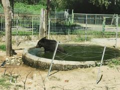 -秦皇岛野生动物园