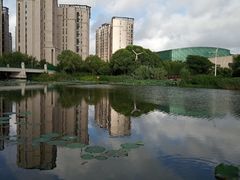 -新江湾城公园