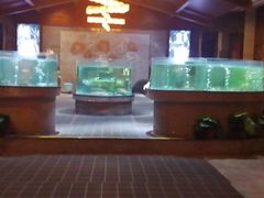 -观澜湖酒店·邀月庭中餐厅