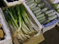 -三亚新鸿港水果一级批发市场