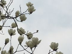 -龙头寺公园