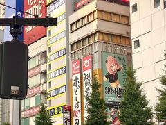 -秋叶原电器街