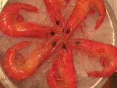 -斯普汇生蚝牛排馆(中骏世界城店)