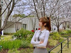 -新天地活力PARK