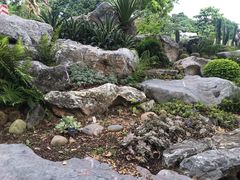 -东莞植物园
