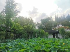 -上海醉白池公园