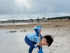 -日照海滨国家森林公园