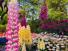 -上海共青森林公园