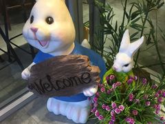 -苗小坛酸汤鱼(酒仙桥店)