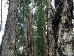 -广东外语外贸大学(白云山校区)