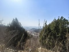 -府君山公园