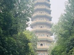 -灵谷景区