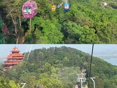-东湖磨山景区