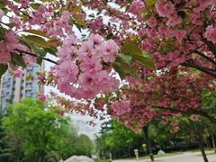 -木塔寺遗址生态公园