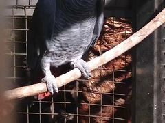 -大连森林动物园