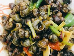 炒田螺-湛记牛肚螺粥(群贤路店)