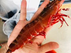 -鸿港海鲜批发市场