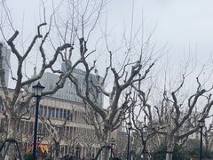 -徐家汇天主堂