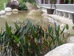 -广州市帽峰山景区
