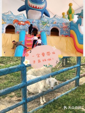 最近大家是不是因为疫都呆了好几个月了