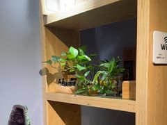 -沐森 •疗愈头疗馆(打浦桥店)