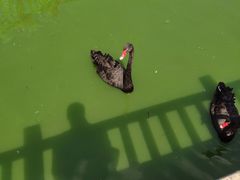 -无锡动物园·太湖欢乐园