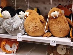 -NITORI 宜得利家居(杭州良渚永旺店)