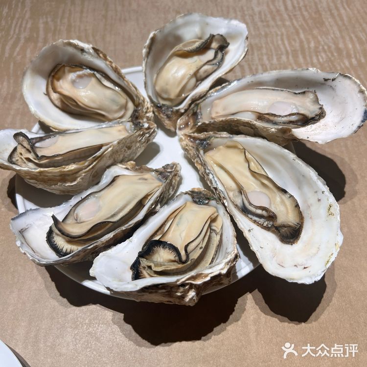 🍤海鲜控的天堂!海螺汤、生蚝,美味不打烊!🌙