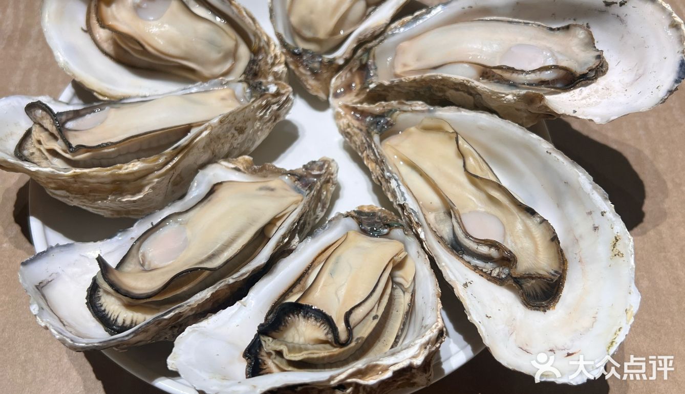 🍤海鲜控的天堂！海螺汤、生蚝，美味不打烊！🌙