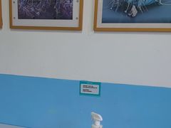 -瑞派福兴宠物医院犬猫全科·骨科·中西医结合(河东店)