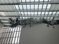 -上海宝龙美术馆