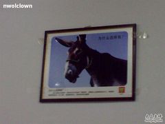 驴！-王胖子驴肉火烧(鼓楼店)