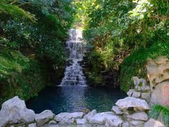 -十八棵（老龙井）御茶园(老龙井店)