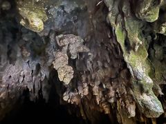 -怀托摩萤火虫洞