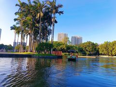 -荔湾湖公园