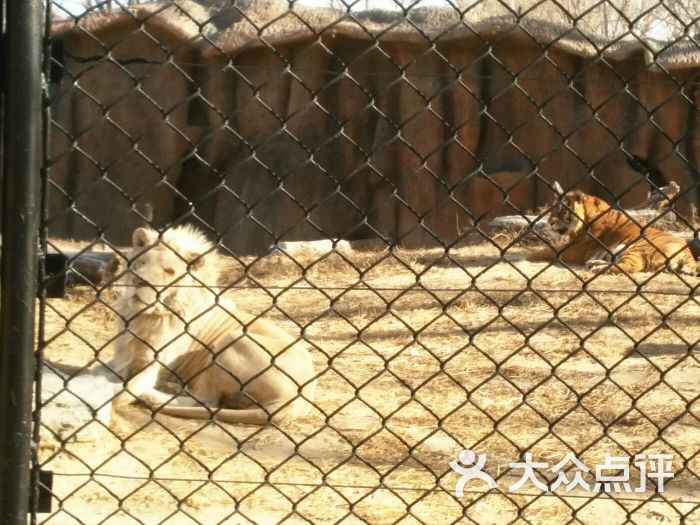 北京野生動物園圖片 - 第2張