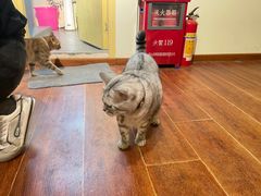 -H立方实景剧情密室(天河旗舰店)