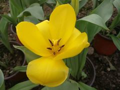 -洪湖湿地生态园