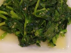 清炒高山豆苗-新南华大酒店(长寿店)